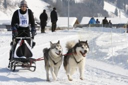 Lenk 2012 SM